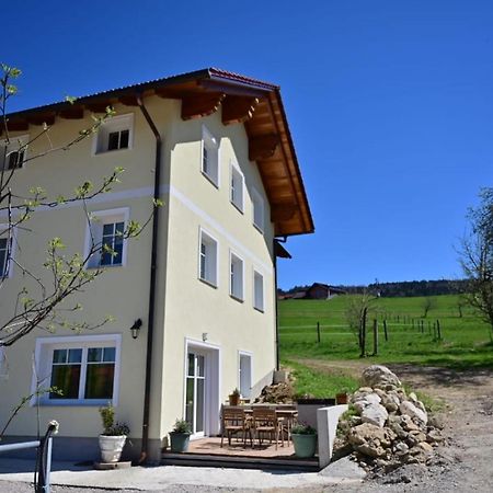 Luxusappartement Zell am Moos Kültér fotó