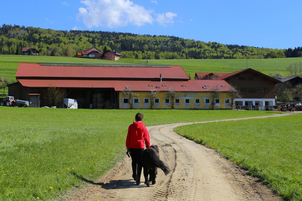 Luxusappartement Zell am Moos Kültér fotó