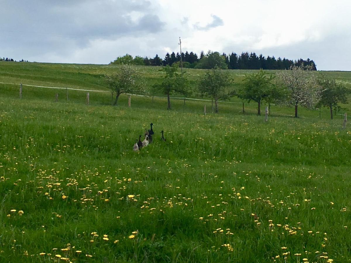 Luxusappartement Zell am Moos Kültér fotó